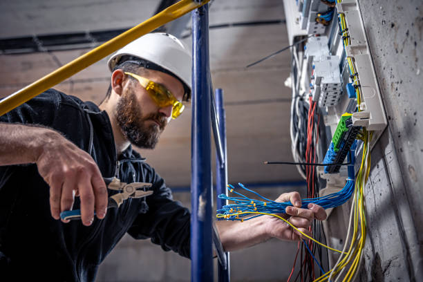 Best Ceiling Fan Installation Electrician  in Paloma Creek South, TX
