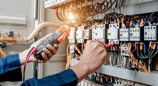 Best Licensed Electrician  in Paloma Creek South, TX
