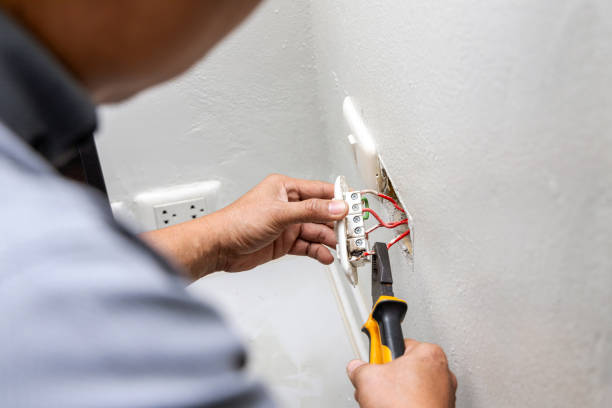 Best Electric Panel Repair  in Paloma Creek South, TX